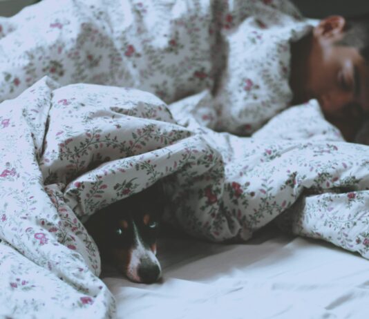 요가로 숙면을 돕는 5가지 동작 man lying on bed beside short-coated black dog