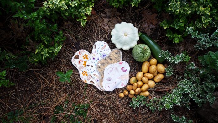 a butterfly on a flower