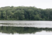 주말에 무너지지 않는 피로 회복 전략 brown leather backpack on brown textile