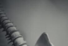 올바른 영양섭취와 운동으로 골다공증 예방하기 grayscale photo of dragon figurine