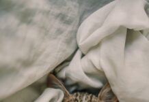 양질의 수면, 건강한 삶의 필수 조건 a cat sleeping in a blanket