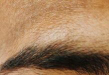 사무실 속 건강 지키기…똑똑한 직장인들의 실천법 persons blue eyes with blue eyes