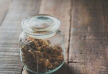 면역력의 보이지 않는 사령부, ‘마이크로바이옴’이 바꾸는 삶의 질 clear glass jar with brown coffee beans