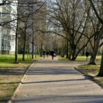 일상을 바꾸는 웰니스 문화, 건강을 위한 작은 시작에서 찾다 a sidewalk in a park lined with trees
