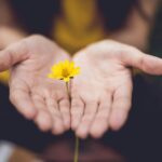 “내 뇌를 위한 작은 변화, 건강한 일상의 시작” selective focus photography of woman holding yellow petaled flowers