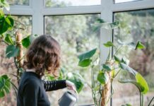 ‘슬기로운 직장인 건강관리’…소소한 변화가 만드는 활기찬 하루 a woman watering plants in a window sill