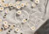 내 삶에 스며드는 웰니스 문화, 실천하는 일상 속 작은 변화들 white and blue floral textile